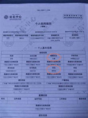 征信报告在哪里可以查,征信报告在哪里可以查？全面解析征信查询途径