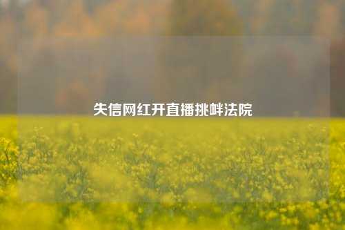 失信网红开直播挑衅法院